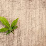 Metody stosowania marihuany leczniczej
