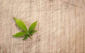 Metody stosowania marihuany leczniczej