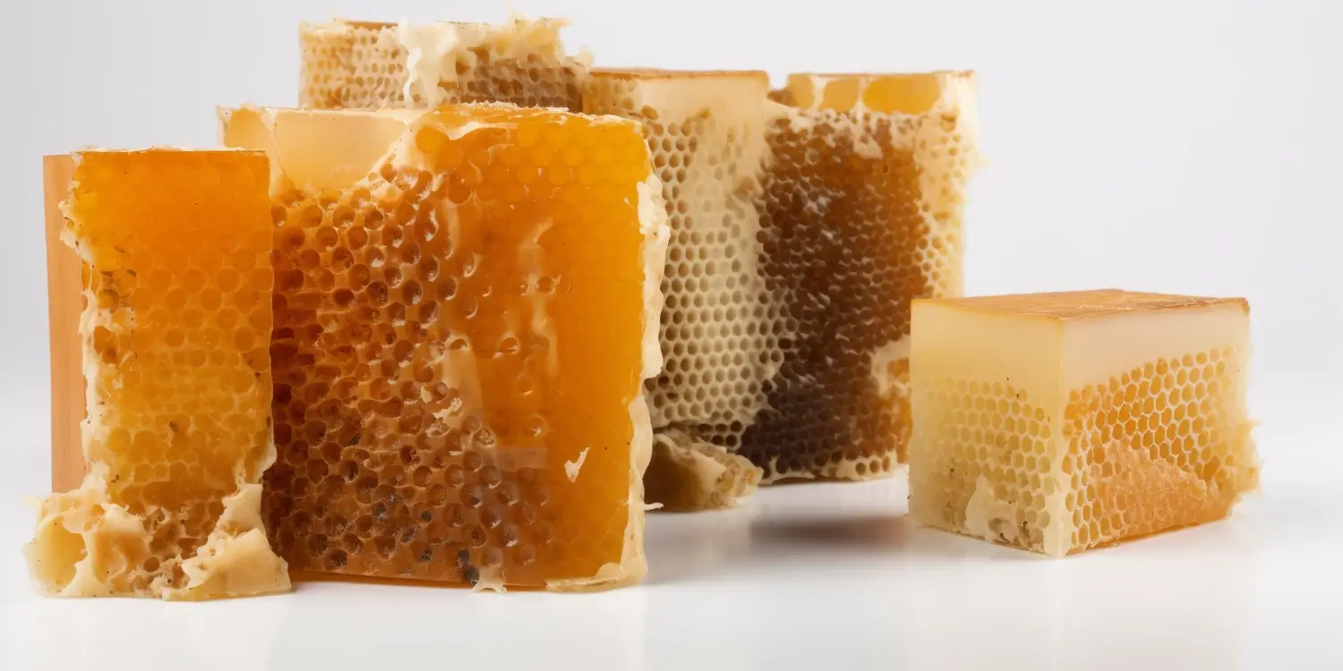 Miód rzepakowy - słodki nektar polskich pól